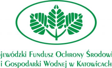 Zielona szkoła - profilaktyka zdrowotna dzieci